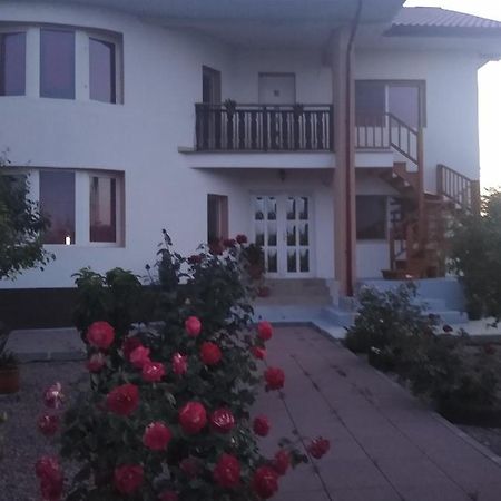 Casa Doina Hotel Douazeci si Trei August Luaran gambar
