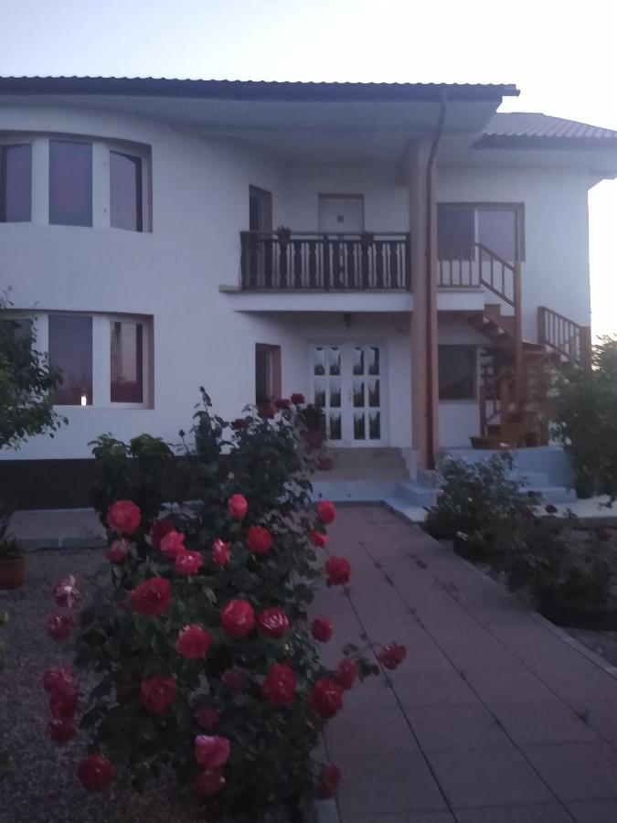 Casa Doina Hotel Douazeci si Trei August Luaran gambar