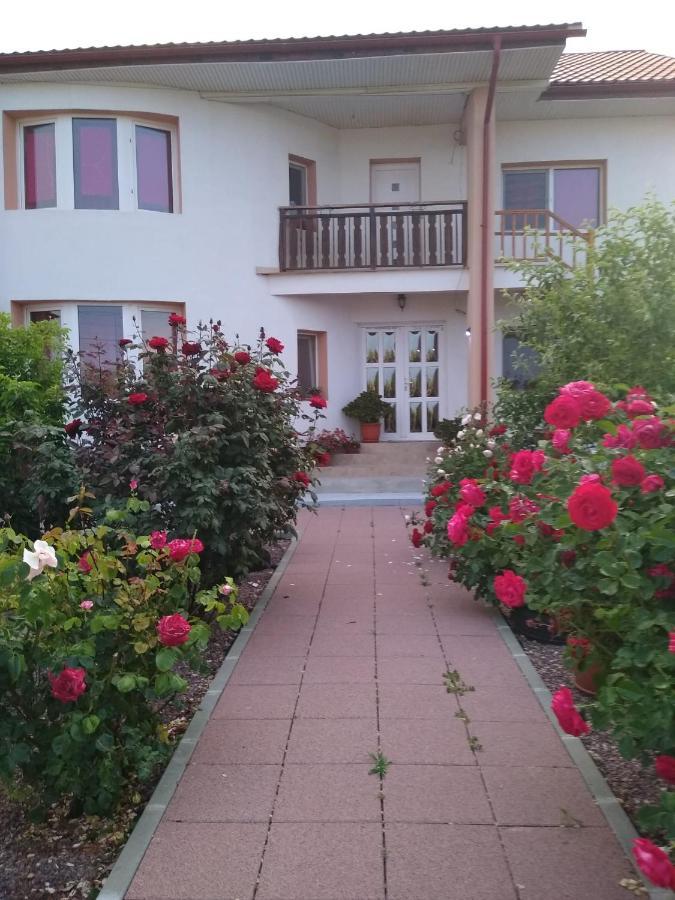 Casa Doina Hotel Douazeci si Trei August Luaran gambar