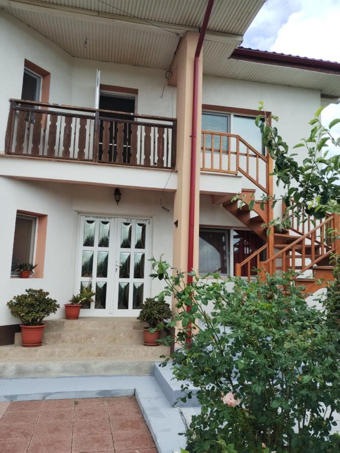 Casa Doina Hotel Douazeci si Trei August Luaran gambar