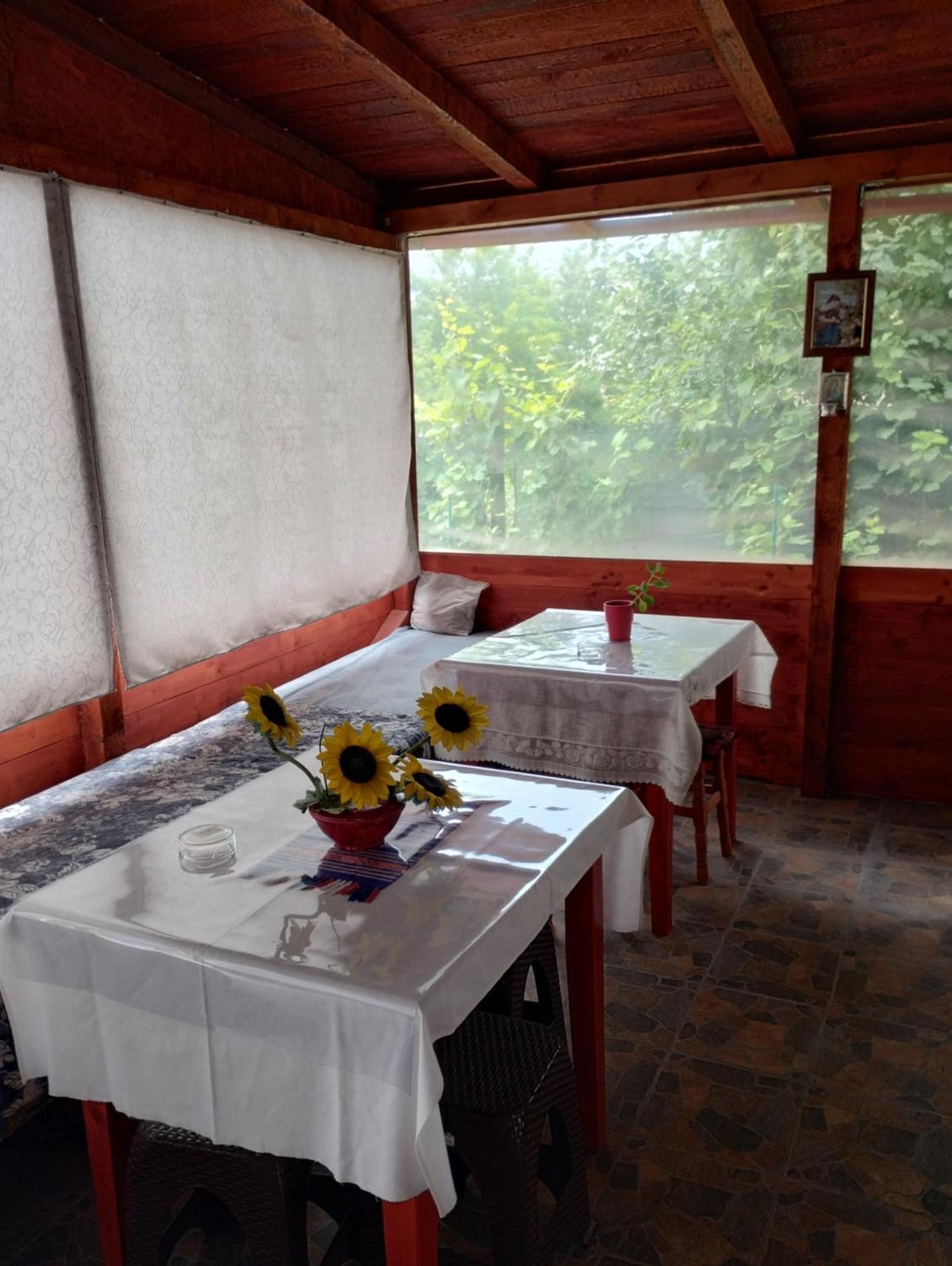 Casa Doina Hotel Douazeci si Trei August Luaran gambar